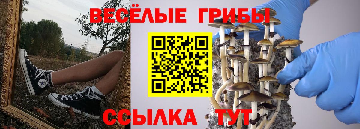 Псилоцибиновые грибы Psilocybine cubensis  Галлюциногенные грибы прущие грибы  Вход с VPN  Тельмана 